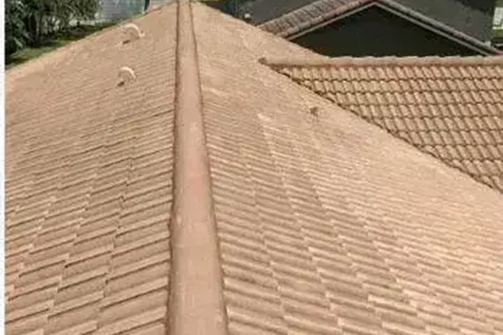 Roof cleaning
